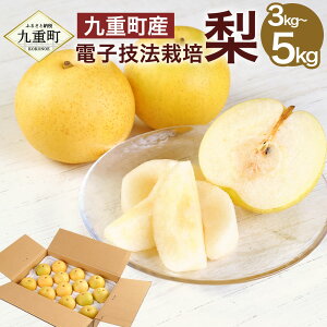 yӂ邳Ɣ[ŁzdY dqZ@͔| Iׂeʁ 3kg 5kg ʈ_  \I L Â V V ꂩ1ނ͂ ʕ  t[c { iV Ȃ ① 