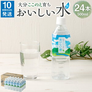 yӂ邳Ɣ[Łzy10cƓȓz啪 ̂炿   500ml×24{ VR   ~lEH[^[ d 퉷  yVX[p[SALE 9J