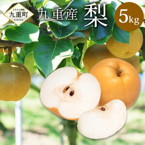 �y�ӂ邳�Ɣ[�Łz��d�Y �� 3L�ȏ�q�e�ʂ��I�ׂ�r��3kg�i5�ʁ`8�ʁj �܂��� ��5kg�i8�ʁ`14�ʁj �� ( ��\���I �����Â� ���H �V�� �L�� �Ñ� ���������ꂩ����) �ʕ� �������� �t���[�c �{ 