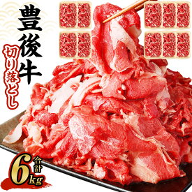 【ふるさと納税】豊後牛 切り落とし 600g～6kg 1パック約600g 豊後牛 牛肉 霜降り 小分け 和牛 お肉 国産 九州産 大分県産 九重町産 冷凍 送料無料