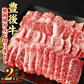 【ふるさと納税】豊後牛 焼肉用 カルビ 切り落とし 約500g～6kg 牛肉 中落ち 小分け 和牛 お肉 切落し 国産 九州産 大分県産 九重町産 冷凍 送料無料