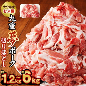 yӂ邳Ɣ[ŁzyIׂeʁzd |[N ē ؂藎Ƃ i  1.2kg j / 2kg / 2.5kg / 3kg / 3.5kg / 4kg / 4.5kg / 5kg / 5.5kg / 6kg SPF ؓ  ^pbN  
