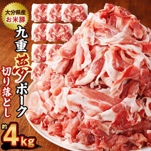 yӂ邳Ɣ[Łzd |[N ē ؂藎Ƃ 4kg 500g×8pbN d|[N SPF ؓ  ^pbN  ؗ Y BY 啪Y dY Ⓚ  yVX[p[SALE 