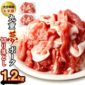 【ふるさと納税】【お試し】九重夢 ポーク お米豚 切り落とし 約1.2kg 600g×2パック 九重夢ポーク SPF豚 豚肉 小分け 真空パック お肉 切落し 国産 九州産 大分県産 九重町産 冷凍 送料無料