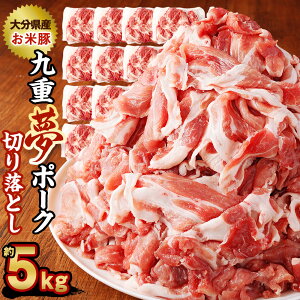 yӂ邳Ɣ[Łzd |[N ē ؂藎Ƃ 5kg 500g×10pbN d|[N SPF ؓ  ^pbN  ؗ Y BY 啪Y dY Ⓚ  yVX[p[SALE
