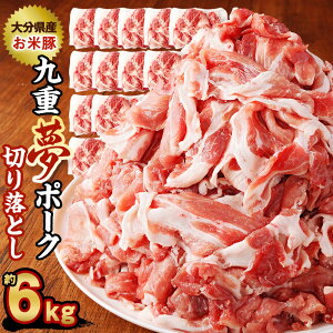yӂ邳Ɣ[Łzd |[N ē ؂藎Ƃ 6kg 500g×12pbN d|[N SPF ؓ  ^pbN  ؗ Y BY 啪Y dY Ⓚ  yVX[p[SALE