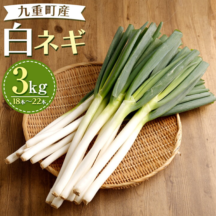 楽天市場 ふるさと納税 白ネギ 3kg 18本 22本 ねぎ ネギ 葱 高原ネギ 長ネギ 野菜 新鮮 旬 国産 九州産 大分県産 九重町 送料無料 大分県九重町