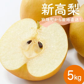 【ふるさと納税】【先行受付】令和8年産 【新高】なかしま農園の 梨 5kg にいたか 梨 旬 果物 フルーツ 先行受付 産地直送 新高梨 新高 大分県 玖珠町
