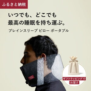 �y�ӂ邳�Ɣ[�Łz�u���C���X���[�v �s���[ �|�[�^�u�� �M�t�g�p / �g�їp �� �����^�� ��� ���s�p �����Ԉړ� ���[ �����܂�p �s���[ �Q�� �܂��� �}�N�� ���� ���� �o���p�� �������� �l�C