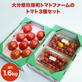【ふるさと納税】トマト3種セット 1.6kg （観光農園トマトファーム） 大分県 玖珠町 トマト 食べ比べ 大玉 ミニトマト 感激 アイコ あやおり 高原 栽培 農園 甘い 美味 トマトファーム 安心 安全 観光 観光農園 春 冬