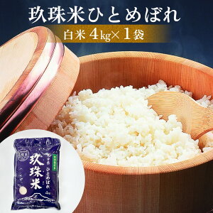 yӂ邳Ɣ[Łz啪Y  ЂƂ߂ڂ 4kg - 12kg z  Iׂ i1 / 3j   ߘa6NY 啪 ʍ͔| AN   R     