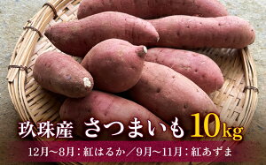 yӂ邳Ɣ[Łz 啪YY@܂ 5kg - 10kg g͂邩i12`8jg܁i9`11j