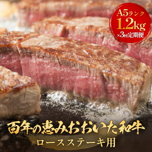 yӂ邳Ɣ[ŁzuSŇb a vA5 [XXe[Lp (200g×1- 4jor i300g×2- 4j×3  a [XXe[L A5 јa 啪Y   