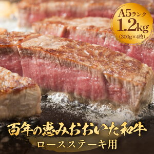 yӂ邳Ɣ[Łz uSŇb a vA5 [XXe[Lp 200g`1.2kg a [XXe[L A5 јa 啪Y   ~ aXe[L L  Y