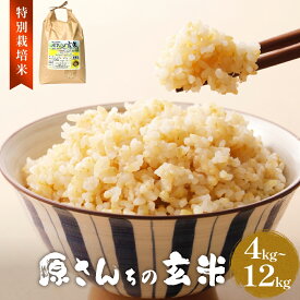 【ふるさと納税】《先行予約》令和7年度産 原さんちの玄米 玄米 4kg-12kg 3種の中からいずれか1種お届け ひとめぼれ ヒノヒカリ にこまる 有機質肥料 特別栽培米 原農園 完熟堆肥 抗酸化農法 有効微生物農法 光合成 美味しい お米 清潔 環境に優しい 栄養価 高品質 産地直送