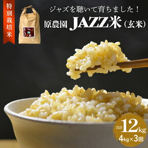 yӂ邳Ɣ[Łzss\tߘa7NxY _ JAZZ (  ) Iׂ 4kg-12kg ЂƂ߂ڂ JAZZ JAZZ   _   肩ԎR  엿 L@엿 ʍ͔| R__@ 