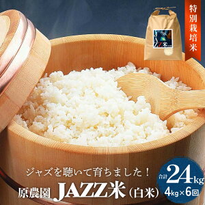 yӂ邳Ɣ[Łzss\tߘa7NxY _ JAZZ  Iׂ 4kg-24kg ЂƂ߂ڂ 3 6  JAZZ L@͔| ʍ͔| ͔ ׋ L A[ge_@ R__@ L