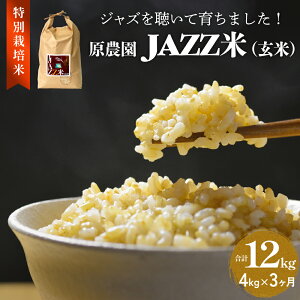 yӂ邳Ɣ[Łzߘa7NxY _ JAZZ (  ) Iׂ 4kg-12kg ɂ܂ JAZZ JAZZ   _   肩ԎR  엿 L@엿 ʍ͔| R__@ ׋ ͔ A[