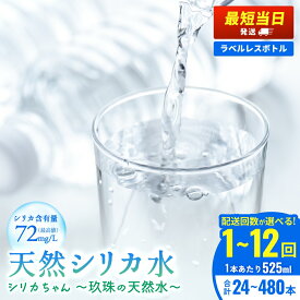 【ふるさと納税】 水 天然水 シリカ 525ml 24本 40本 80本 シリカちゃん 玖珠の天然水 定期便 ふるさと納税シリカ まとめ買い シリカウォーター 天然シリカ水 ペットボトル ラベルレスボトル シリカ天然水 ラベルレス お水 ラベルレス飲料 定期購入 ミネラルウォーター