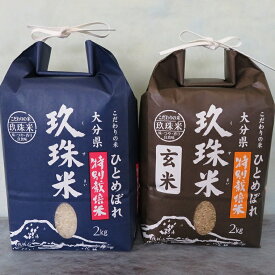 【ふるさと納税】大分県の玖珠米「ひとめぼれ」白米＆玄米のセット