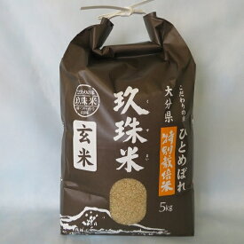 【ふるさと納税】大分県の玖珠米玄米「ひとめぼれ」5kg