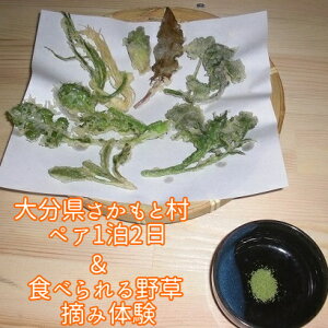 yӂ邳Ɣ[Łz 啪ƑyA12&Hׂ쑐Eݑ̌ 啪 Ƒ yA 12 ̌ h [H H Ö 쑐E 쑐 VՂ Ɛ n엿