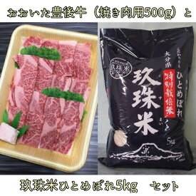 【ふるさと納税】玖珠米ひとめぼれ5kgとおおいた豊後牛（焼肉用500g）セット
