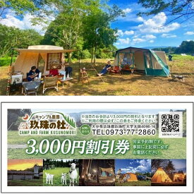 【ふるさと納税】 キャンプ＆農園玖珠の杜で使える3,000円チケット キャンプ チケット 利用券 旅行 アウトドア バーベキュー BBQ 温泉 野菜 宿泊 畑 収穫 農業体験 星空 大自然 牧場 薪 テント 玖珠の杜 九州 大分 温泉施設