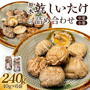 yӂ邳Ɣ[Łz؊̋lߍ킹i킵ܔ_j240g 啪 쒬    ő ő 킵ܔ_ Y Y ő L i] 18NA