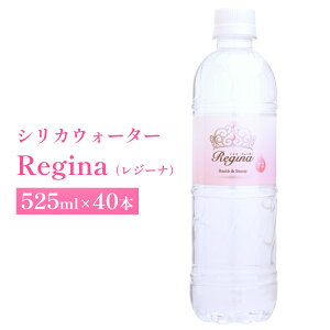yӂ邳Ɣ[ŁzVJEH[^[ ReginaiW[ij24{ - 40{