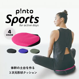 【ふるさと納税】p!ntoSports ピントスポーツ クッション 正しい姿勢 pinto sports 疲労 骨盤 姿勢 猫背 座布団 ヨガ ストレッチ 瞑想 スポーツ 持ち運び 洗える アウトドア レジャー 体幹 座るだけ 姿勢習慣 坐骨 骨盤サポート 大分県 玖珠町
