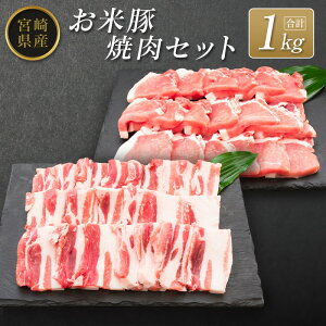 【ふるさと納税】宮崎県産 お米豚焼肉セット(合計1kg)