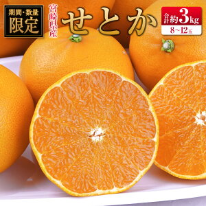 yӂ邳Ɣ[Łz{茧Y Ƃ 3kgi8`12ʓj