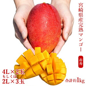 yӂ邳Ɣ[Łz{茧Yn}S[[ԏG] v1kgi2`3ʁj