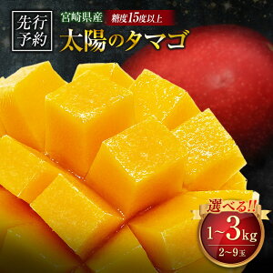 yӂ邳Ɣ[Łzs\ {茧Y n}S[uz̃^}Sv1kg`3kg v2`9 2026N uh 썑 gsJ t[c ʕ  ϔ