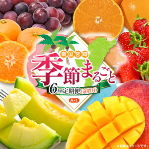 yӂ邳Ɣ[Łzy 6ցz{ lC t[c 썑{Y z̃^}S sI[l  ݂  }S[ k Ԃǂ ʕ lߍ킹 {茧 BA-1R[X M110