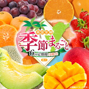 yӂ邳Ɣ[Łzy 6ցz{ lC t[c 썑{Y }S[ sI[l  ݂  k Ԃǂ ʕ lߍ킹 {茧 BB-1R[X M210