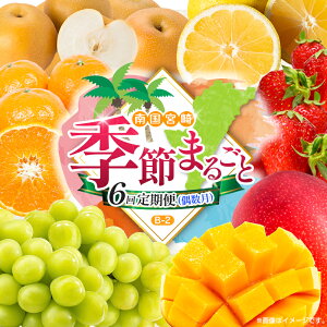 yӂ邳Ɣ[Łzy 6ցz{ lC t[c 썑{Y }S[ VC}XJbg    ݂ k Ԃǂ ʕ lߍ킹 {茧 BB-2R[X M220