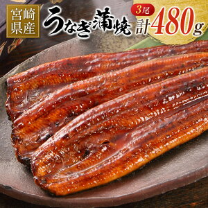 yӂ邳Ɣ[Łz{茧Y Ȃ  3 v480g   Y V