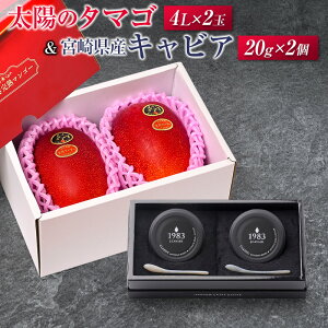 yӂ邳Ɣ[Łzz̃^}S(4L×2)Ƌ{茧YLrA20g×2Zbg