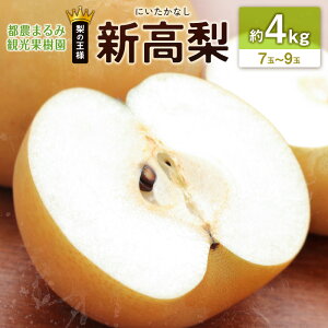 yӂ邳Ɣ[ŁzViɂȂj 4kg 7ʁ`9 VR~l͔| iV t[c ʕ  { {茧