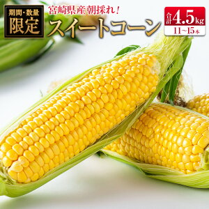 yӂ邳Ɣ[ŁẑXC[gR[ (v4.5kg) {茧Y