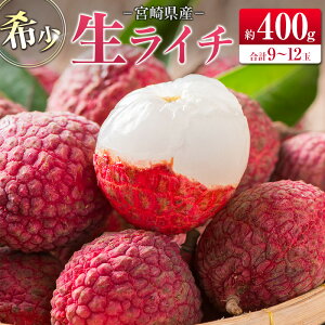 yӂ邳Ɣ[Łz󏭁I{茧Y C`(v400g)