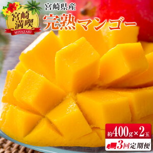 yӂ邳Ɣ[Łzu{薞iv@n}S[400g×2ʁ@3