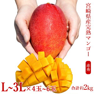 yӂ邳Ɣ[Łz{茧Yn}S[[ԏG] v2kgi4`6ʁj