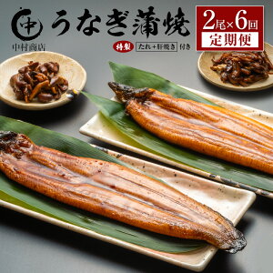 �y�ӂ邳�Ɣ[�Łz������ց�2��×�S6�� ���Y ���Ȃ� ���� �L�� �v2.1kg�ȏ�i1�񂠂��� �v362g�ȏ�j �̏Ă��E����t�� �{�茧�Y �V �������X