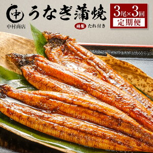 �y�ӂ邳�Ɣ[�Łz������ց�3��×�S3�� ���Y ���Ȃ� ���� �L�� �v1.6kg�ȏ�i1�񂠂��� �v543g�ȏ�j ����t�� �{�茧�Y �V �������X