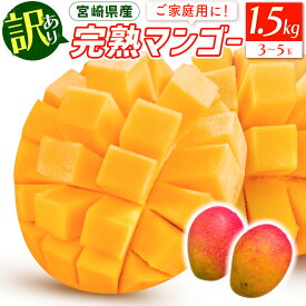 【ふるさと納税】宮崎特産品 宮崎県産 完熟マンゴー 訳あり 1.5kg 3玉～5玉 果物 果肉 濃厚 甘み 芳醇 なめらか 冷蔵便 南国 宮崎県 宮崎市 送料無料