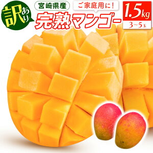 yӂ邳Ɣ[Łzs2026Ns\tyʁEԌz{Yiu󂠂v{茧Yn}S[ 1.5kg(3ʁ`5) n}S[ n 󂠂 KiO KiOi s Fނ ƒp 