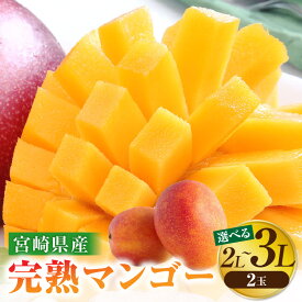 【ふるさと納税】《2026年発送先行予約》【選べるサイズ】【数量・期間限定】宮崎特産品 宮崎県産完熟マンゴー マンゴー 完熟マンゴー 完熟 果物 フルーツ デザート スイーツ 果肉 濃厚な甘み 南国フルーツ 特産品 名物 ご当地グルメ グルメ お取り寄せ 宮崎県 宮崎市